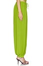 view 3 of 6 Liselle Pant in Leaf