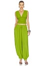 view 5 of 6 Liselle Pant in Leaf