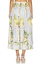 view 4 of 6 JUPE MIDI AMABELLE PINTUCK in Anisa Sky Lemon
