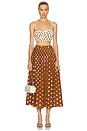 view 5 of 6 JUPE AMABELLE in Spice & Ivory Polka Dot