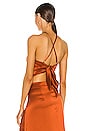 view 4 of 4 Mika Top in Terra Cotta