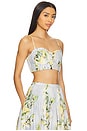 view 2 of 4 Crina Bra Top in Anisa Sky Lemon