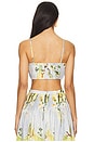 view 3 of 4 Crina Bra Top in Anisa Sky Lemon