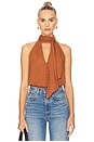view 1 of 4 Sumira Top in Chestnut