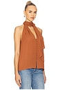 view 2 of 4 Sumira Top in Chestnut