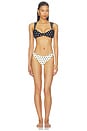 view 4 of 4 TOP BALCONNET BRIDGET in Black & Ivory Polka Dot