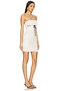 view 2 of 4 Yuri Dress in Ivory