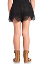 view 3 of 4 Seashell Lace Short in Black