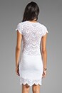 view 4 of 6 Spanish Lace Dress in White