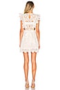 view 3 of 4 Eyelet Apron Mini Dress in White