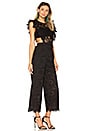 view 2 of 4 Eyelet Jumpsuit in Black