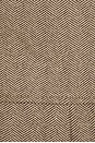 view 6 of 6 The Tilly Jacket in Brown