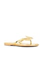 view 2 of 5 Wings Sandal in Gold