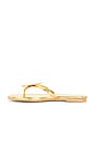 view 5 of 5 Wings Sandal in Gold