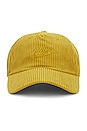 view 1 of 2 Club Cap in Bronzine