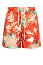 view 1 of 6 NO COLLECTION 쇼츠 in Vintage Coral, Cinnabar, & Anthracite