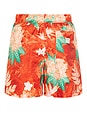 view 2 of 6 NO COLLECTION 쇼츠 in Vintage Coral, Cinnabar, & Anthracite