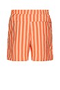 view 2 of 6 Unlimited Shorts in Picante Red & Apricot Agate
