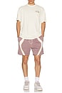 view 6 of 6 SHORT SOLO SWOOSH in Taupe Grey, White, & Sundial
