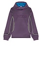 view 4 of 5 SUDADERA NO FRANCHISE in Dark Raisin, Brilliant Blue, & Vivid Purple