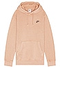 view 1 of 3 Club Pullover Hoodie in DK Drifwood