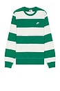 view 1 of 5 Striped Heavyweight French Terry Crew in Malachite, Sail, & White