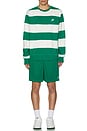 view 5 of 5 Striped Heavyweight French Terry Crew in Malachite, Sail, & White