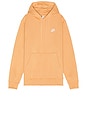view 1 of 4 Nsw Club Pullover Hoodie in Copper Moon & White