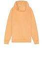 view 2 of 4 Nsw Club Pullover Hoodie in Copper Moon & White