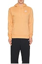 view 3 of 4 Nsw Club Pullover Hoodie in Copper Moon & White