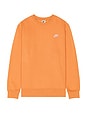 view 1 of 5 Nsw Club Crew Neck Sweatshirt in Copper Moon & White