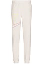 view 2 of 5 PANTALON in Phantom