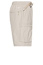 view 4 of 9 Acg Smith Summit Cargo Pant in College Grey & Summit White