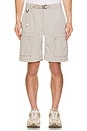 view 8 of 9 Acg Smith Summit Cargo Pant in College Grey & Summit White