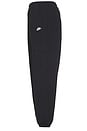 view 3 of 7 Club Wvn Cargo Pant in Black & White
