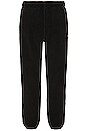 view 3 of 4 ACG Wolf Tree Pant in Off Noir & Black