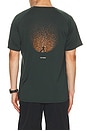 view 2 of 4 T-SHIRT STRIDE in Black Spruce