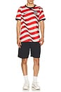 view 3 of 5 T-SHIRT STADIUM in Sail & Midnight Navy