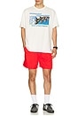 view 3 of 5 CAMISETA PEAK TEE in Sail