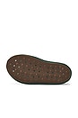 view 7 of 6 Reactx Rejuven8 in Fir, Black, Gum & Dark Brown
