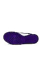 view 6 of 6 Nike Dunk Low Retro in White & Court Purple