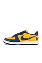 view 6 of 7 Terminator Low Og in University Gold, Navy & White