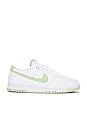 view 1 of 6 Dunk Low Retro Sneaker in White & Honeydew