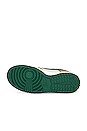view 6 of 6 Dunk Low Retro in Rattan, Gorge Green, Sail, & Dark Driftwood