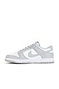 view 5 of 6 Nike Dunk Low Retro in White, Lt Smoke Grey-White