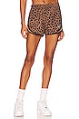 view 1 of 5 Leopard Tempo Short in Archaeo Brown