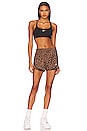 view 5 of 5 Leopard Tempo Short in Archaeo Brown