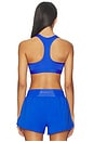 view 3 of 4 Padded Sports Bra in Hyper Royal & White