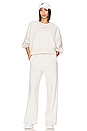 view 4 of 4 NSW Plush Crop Crew Sweatshirt in Light Bone