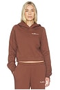 view 1 of 5 SWEAT À CAPUCHE in Fauna Brown